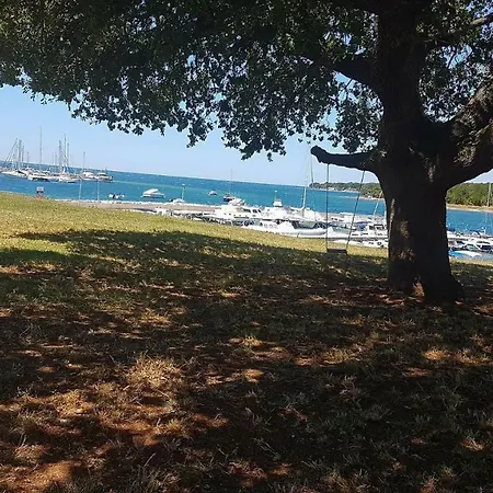 Gasparini *