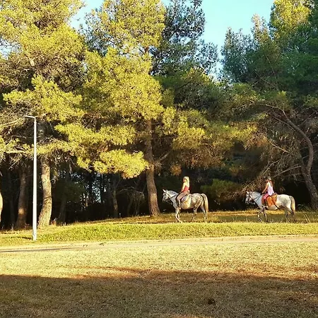 Gasparini * Poreč